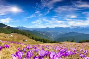 Aprelin ilk gününün havası