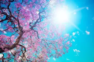 Aprel ayında hava necə olacaq?