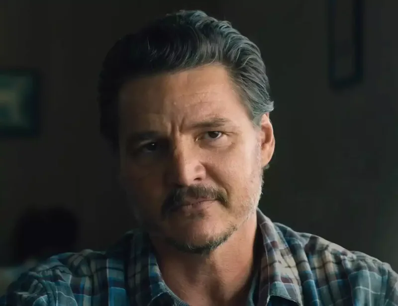 5 layihə ilə qayıdır!