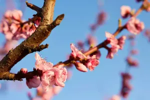 Sabah hava dumanlı olacaq