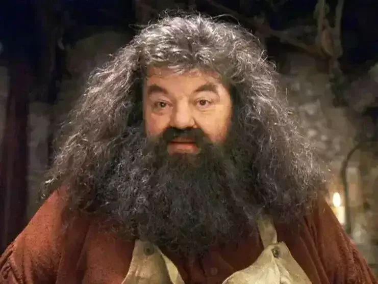 HBO “Harri Potter”in əsas aktyor heyətinin adlarını açıqladı