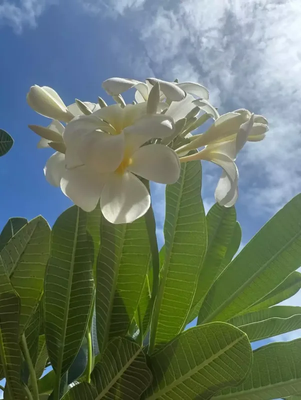 Salma Hayek bikinidə fotolarını paylaşdı