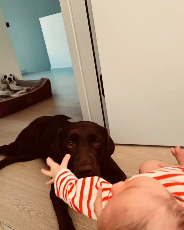 Kaan və Pınardan oğulları ilə ilk şəkil!