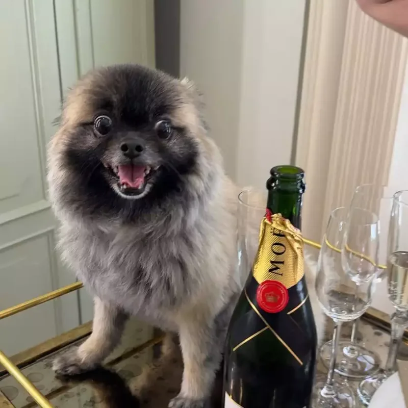 50 yaşı tamam oldu