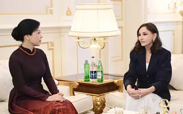 Birinci xanımlar görüşdü - Foto