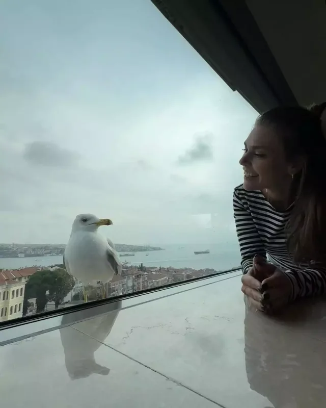 41 yaşlı Aslı Enver