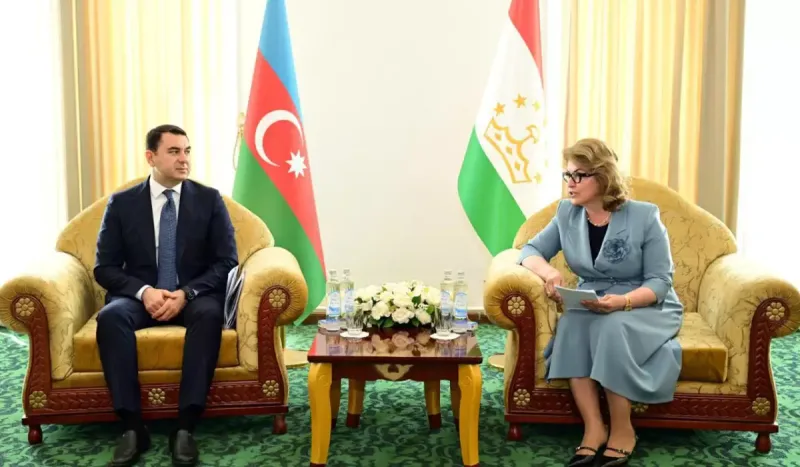 Adil Kərimli Düşənbədə tacik həmkarı ilə görüşüb