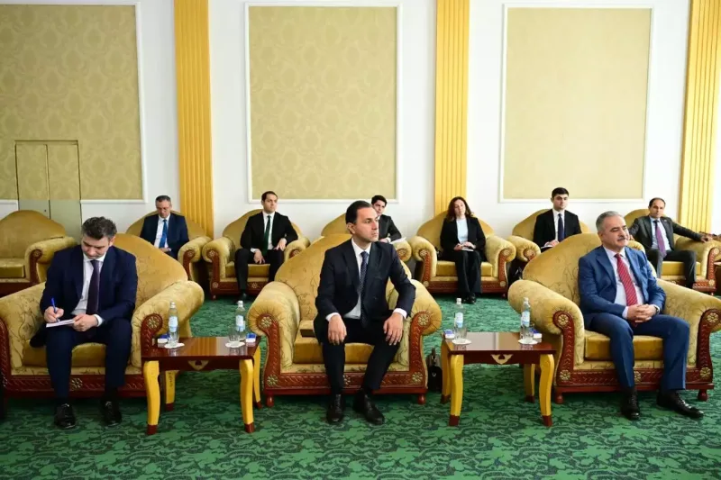 Adil Kərimli Düşənbədə tacik həmkarı ilə görüşüb