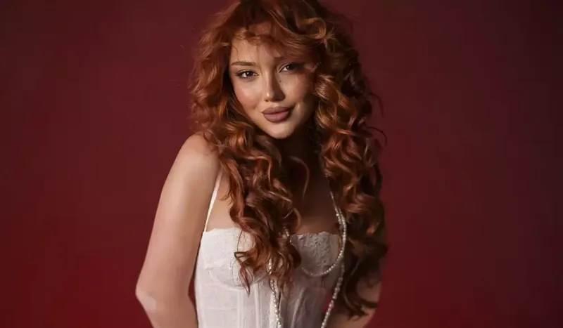 “Gömrük Komitəsi anamın çamadanını əlindən alıb”