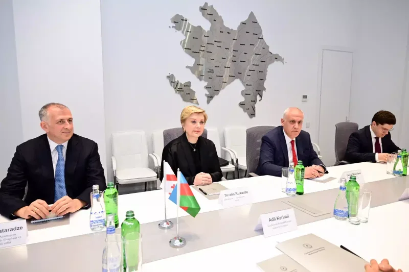 Azərbaycan ilə Gürcüstan arasında mədəniyyət sahəsində əməkdaşlığın perspektivləri müzakirə olunub
