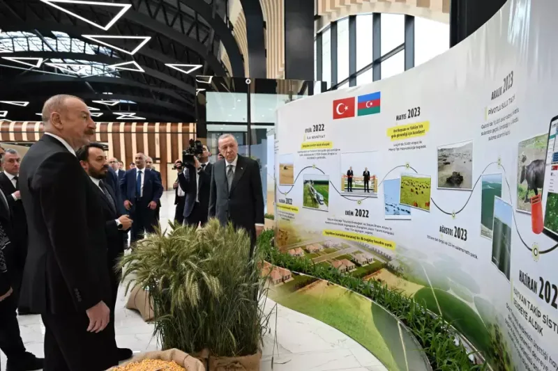 Əliyevlə Ərdoğana simvolik hədiyyə - Fotolar