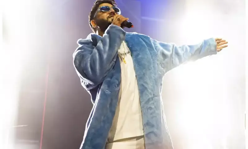 Ayaz konsert verdi - Video