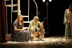 Azərbaycan və gürcü aktyorları səhnəni bölüşüblər