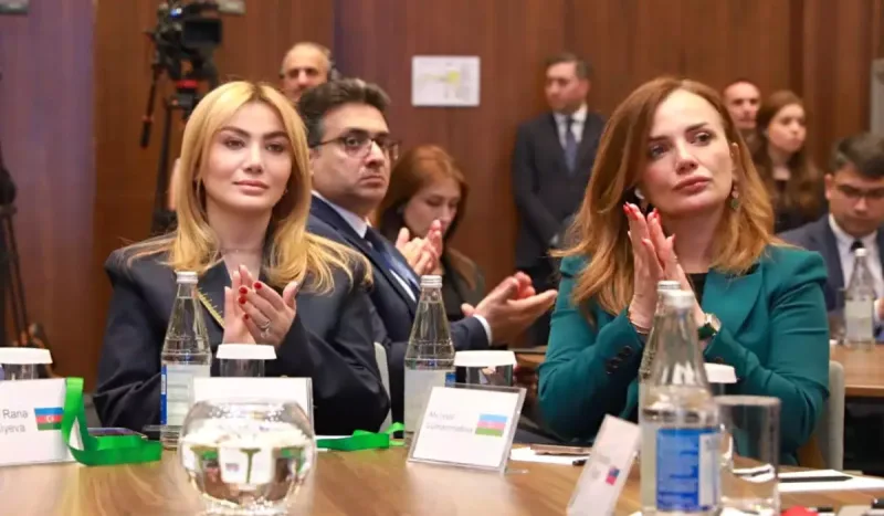 Ruhiyyə Əliyeva Ombudsmanların Beynəlxalq Simpoziumunda