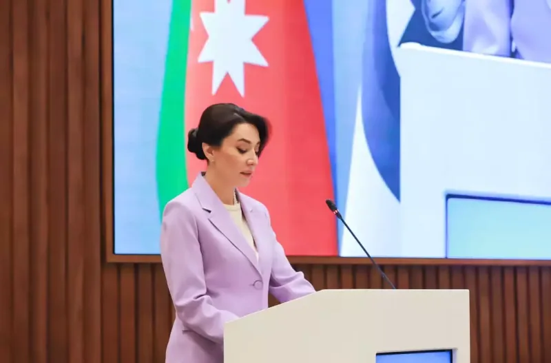 Ruhiyyə Əliyeva Ombudsmanların Beynəlxalq Simpoziumunda