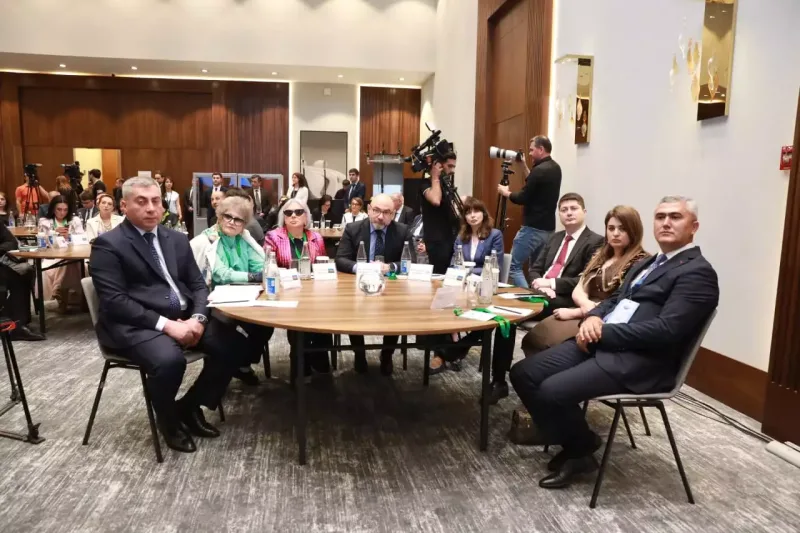 Ruhiyyə Əliyeva Ombudsmanların Beynəlxalq Simpoziumunda