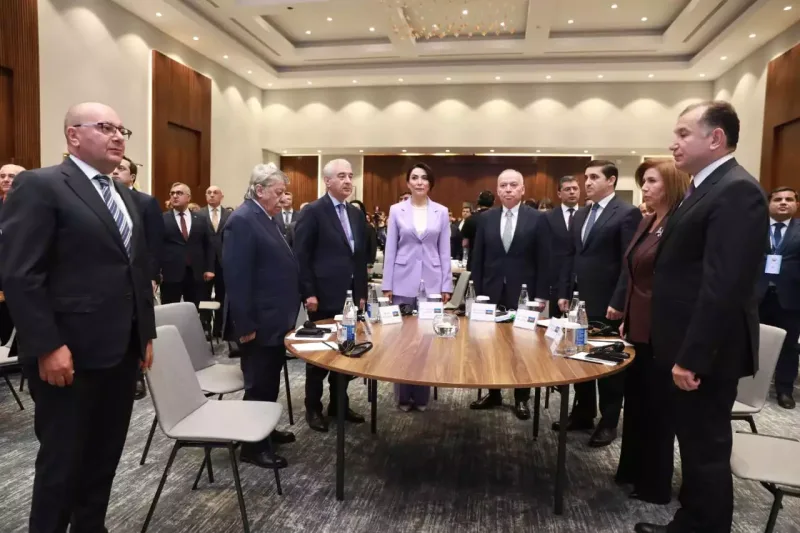 Ruhiyyə Əliyeva Ombudsmanların Beynəlxalq Simpoziumunda