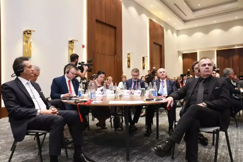 Ruhiyyə Əliyeva Ombudsmanların Beynəlxalq Simpoziumunda