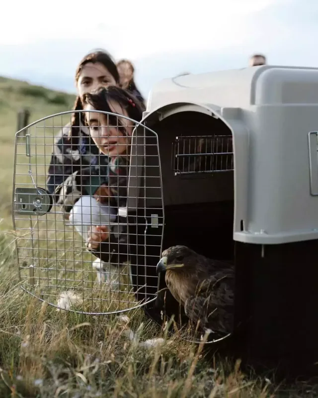 Leyla və Arzu Əliyevalar Zooloji Parkda - Fotolar