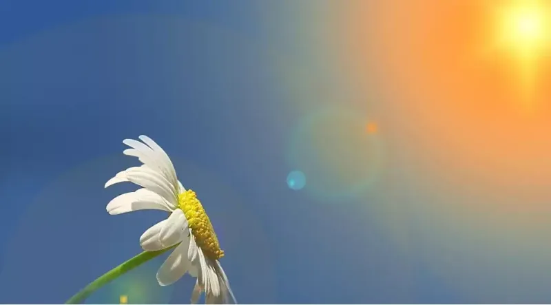 Sabah 37 dərəcə isti olacaq