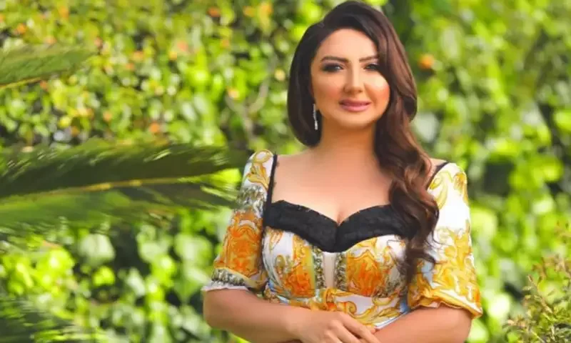 “O müğənnilər oğrularla şərikdir”