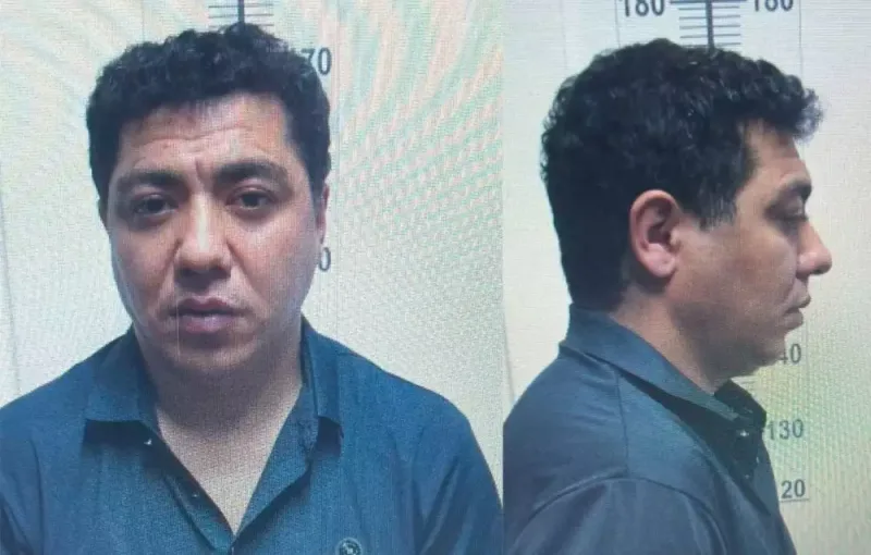 “Mahir Ay Brat” yenidən azadlığa buraxıldı