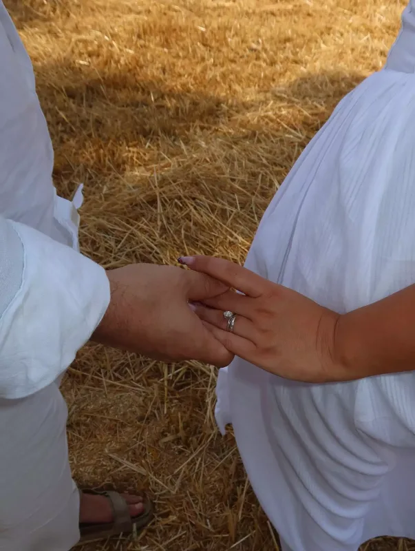 Taxıl zəmiləri...