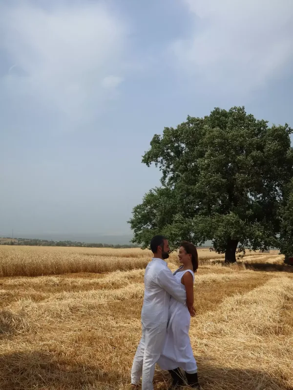 Taxıl zəmiləri...