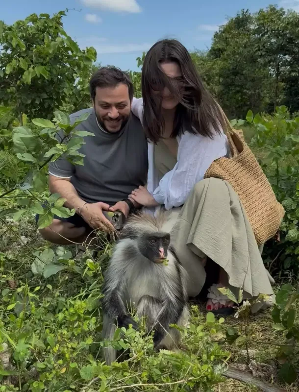 Afrikada bal ayı...