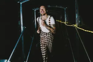 Herri Stayles yeni albom hazırlayır