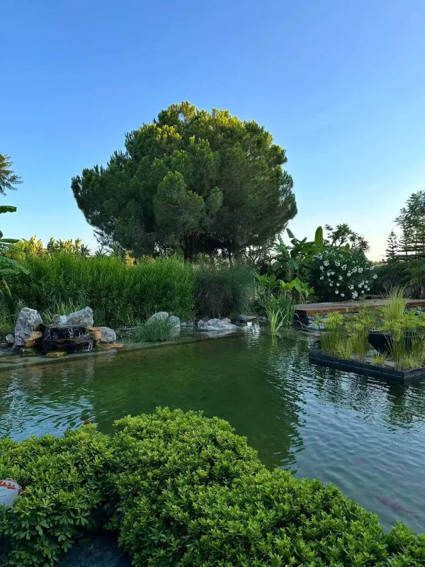 Azad ailəsi ilə istirahətə getdi