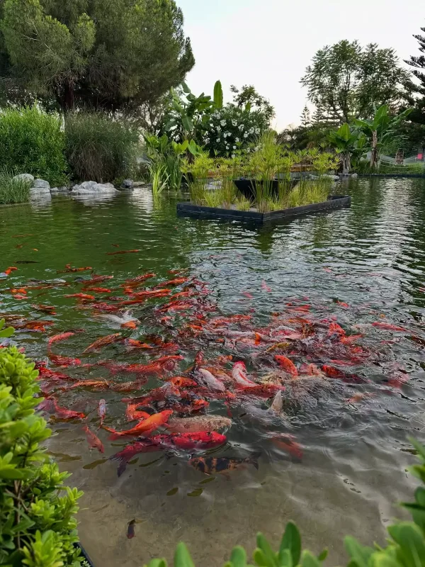 Azad ailəsi ilə istirahətə getdi