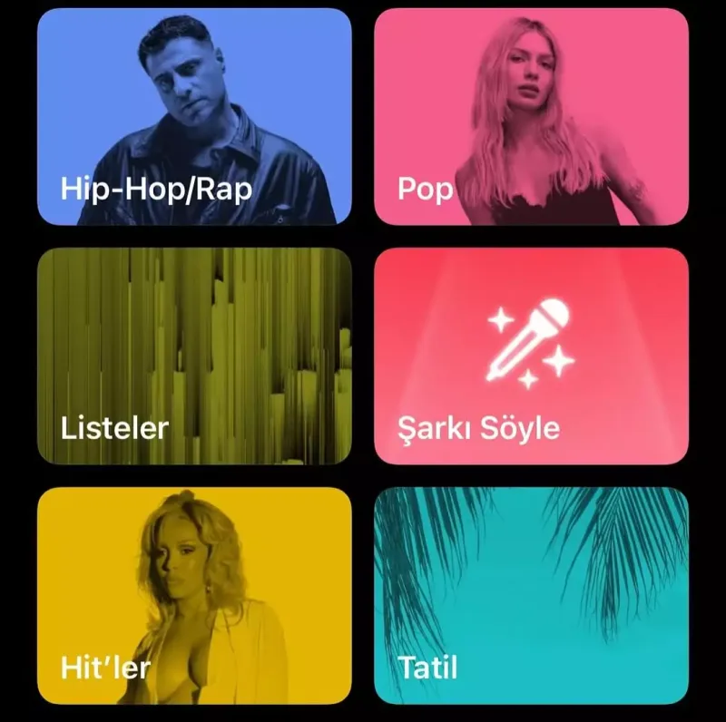 Aleyna Tilkidən qlobal uğur!