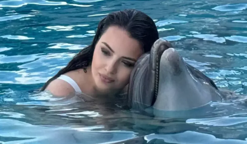 Aysel delfinlə üzdü