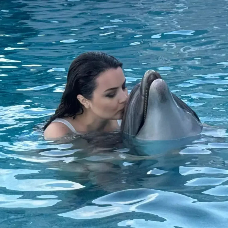 Aysel delfinlə üzdü
