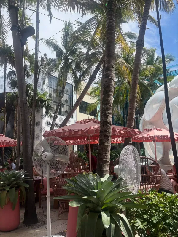 Demetin Mayami paylaşımları diqqət çəkdi