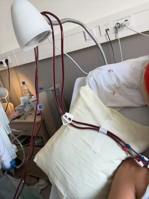 Bellanın xəstəliklə mübarizəsi