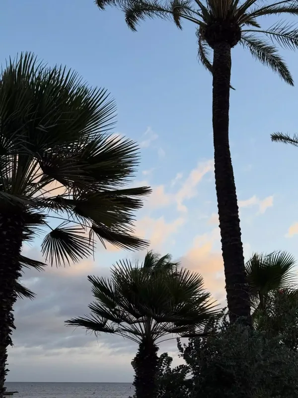 Həmidənin İspanya paylaşımları