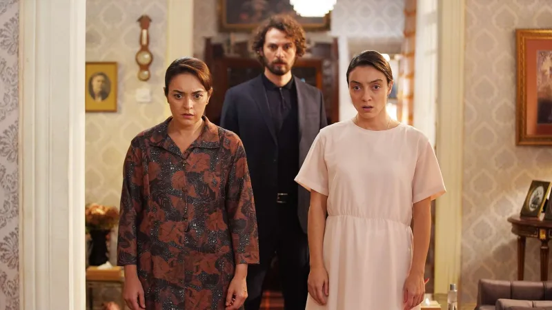 Bu serialdan sonra psixoloqlara gedənlərin sayı artıb