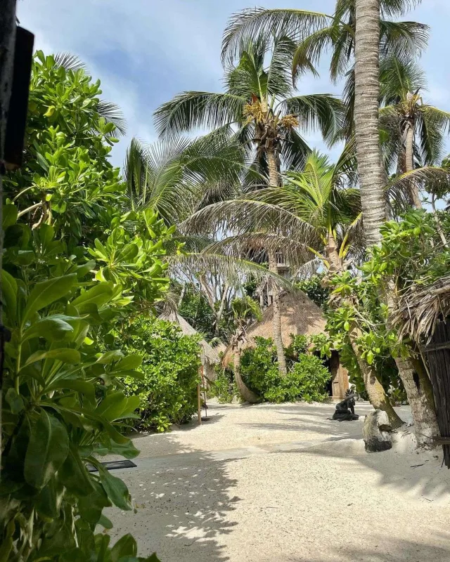 Günelin Meksika tətili - FOTOLAR