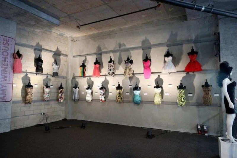 Eminin bu əşyaları satışa çıxarıldı - FOTOLAR