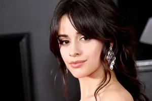 Evini 4 milyona satır