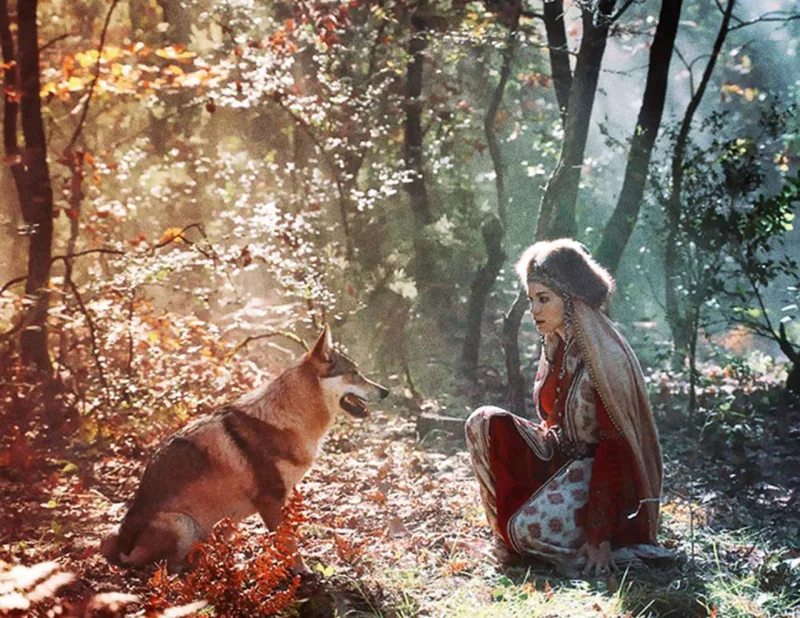 Fahriyenin bu addımı gündəm oldu - VİDEO