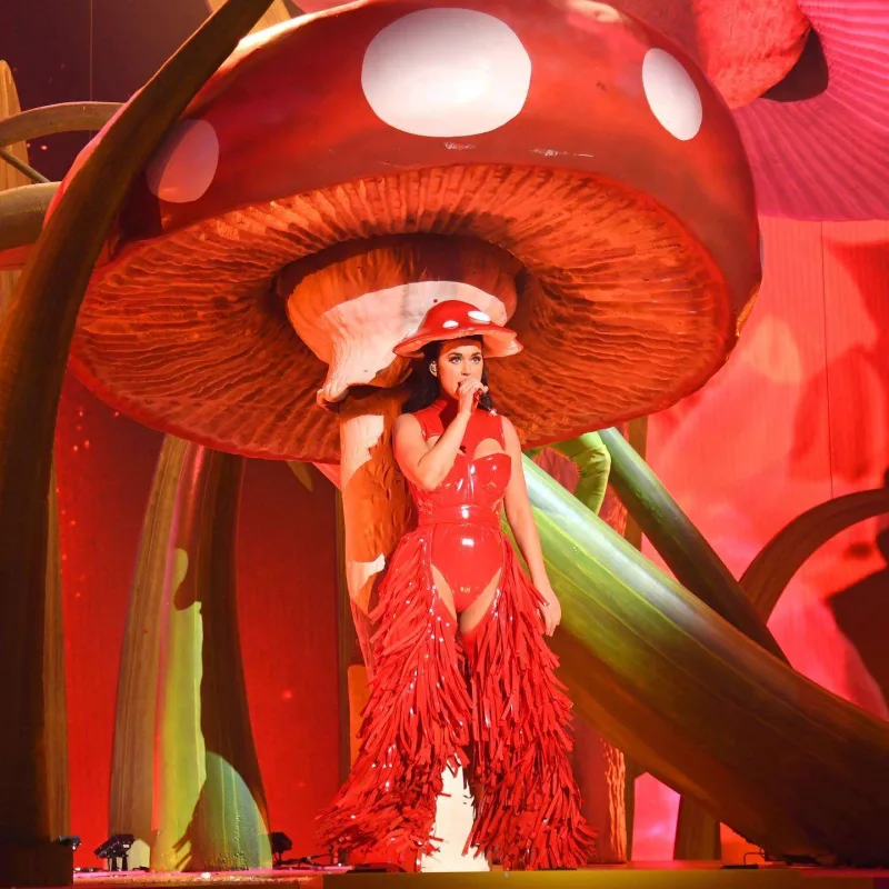 Tualet kağızı, unitaz, maska - Keti Perrinin konsert turnesi...