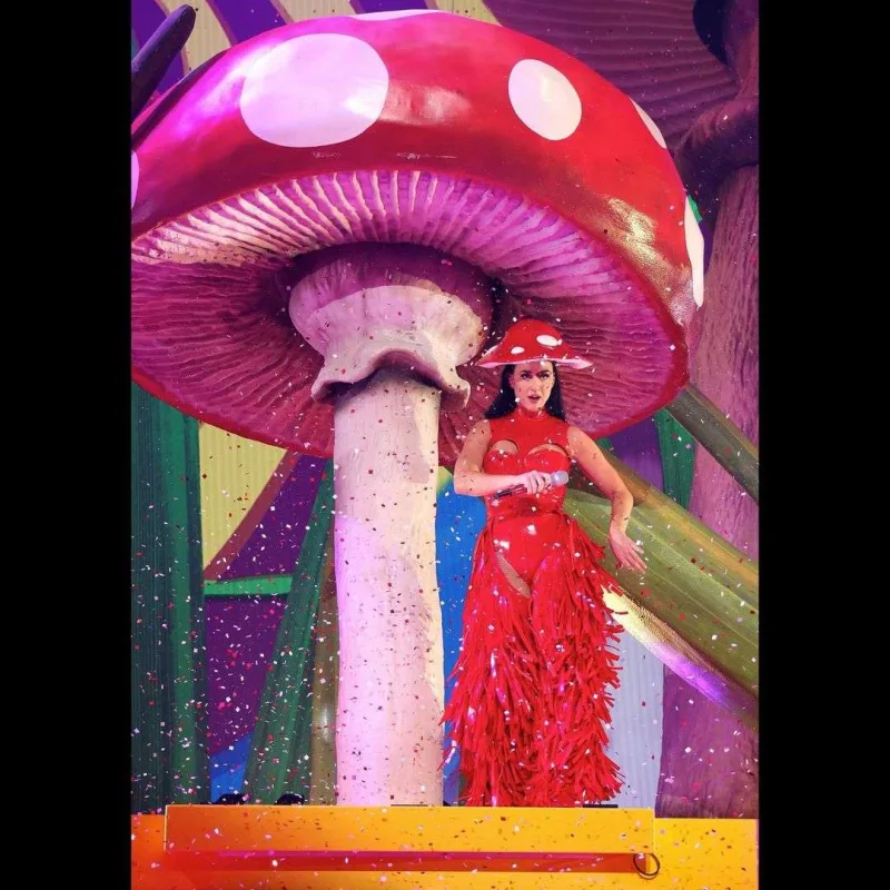 Tualet kağızı, unitaz, maska - Keti Perrinin konsert turnesi...