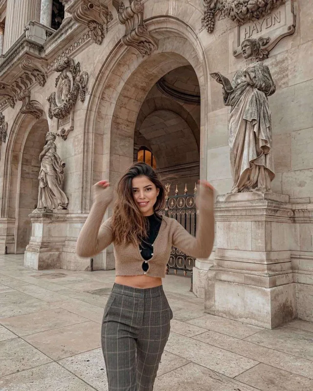 Parisdə gəzinti, Vyanada karantin…