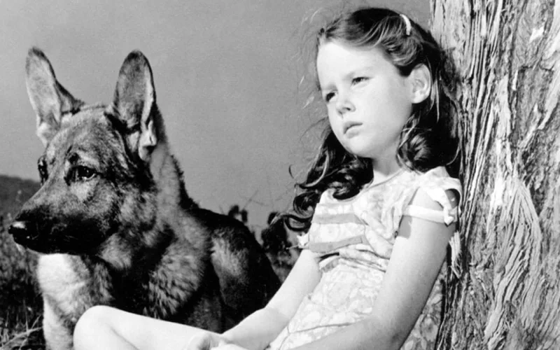 Bir zamanlar məşhur uşaq idi