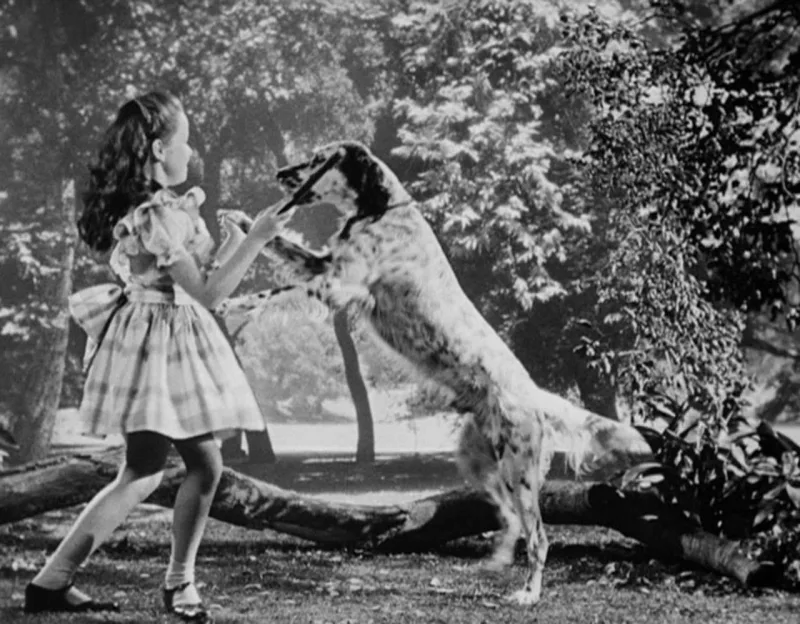 Bir zamanlar məşhur uşaq idi