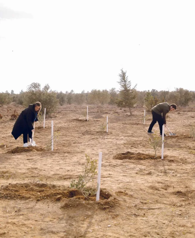 Aygün üçün bağ saldılar