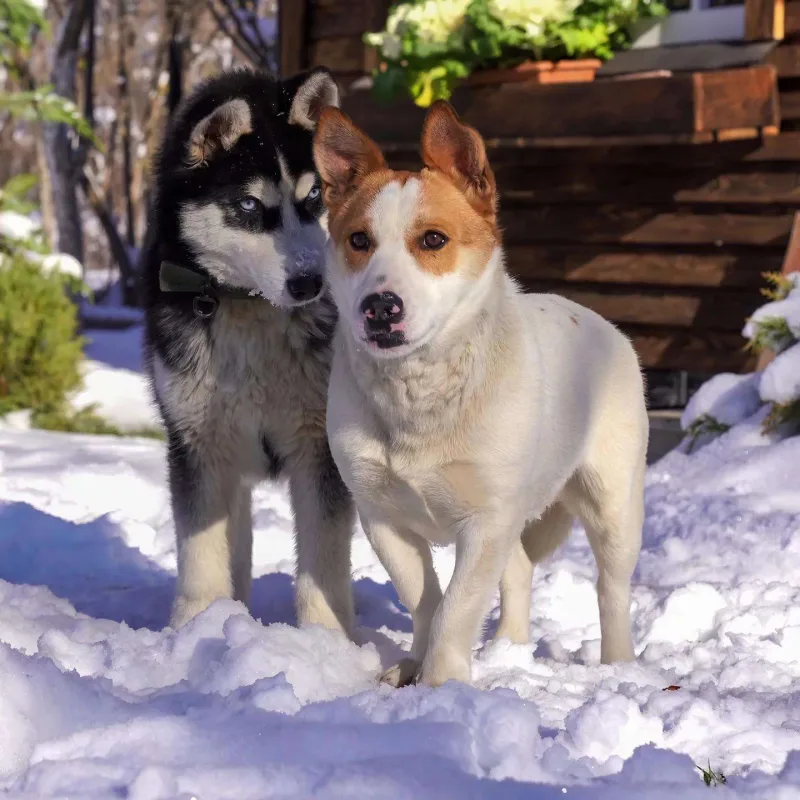 “Youtube”dan azərbaycanlı qadınla bağlı paylaşım